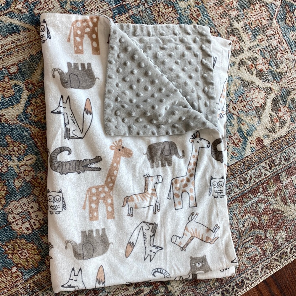 Baby Blanket Soft Minky